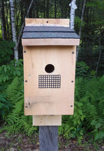 Load image into Gallery viewer, Bluebird House