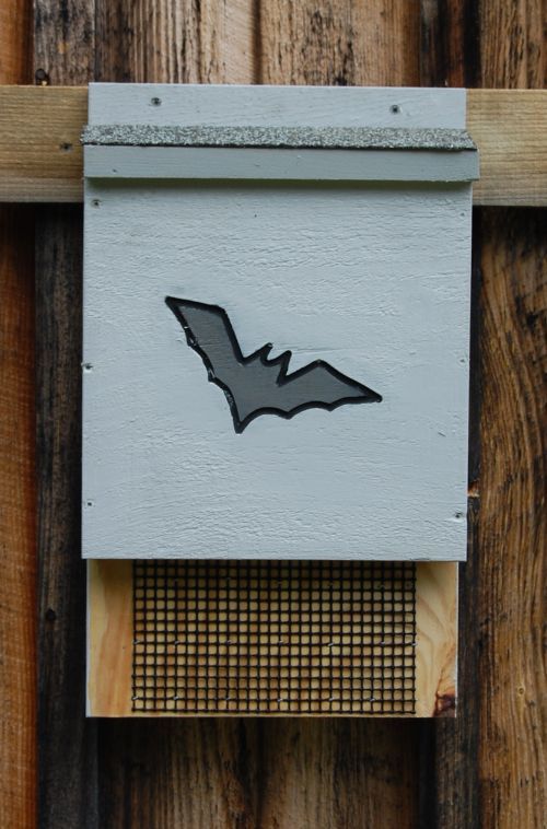 5 bat mini bat display,Village Wood Shoppe