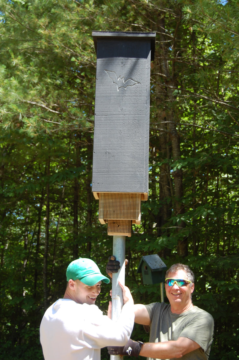 Rocket Bat Box P&S Country Crafts