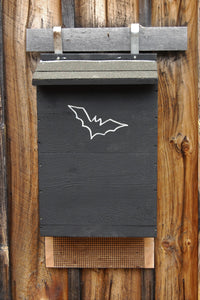 Large Pallid Bat House