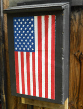 Load image into Gallery viewer, BCI Bat Houses American Flag Themed