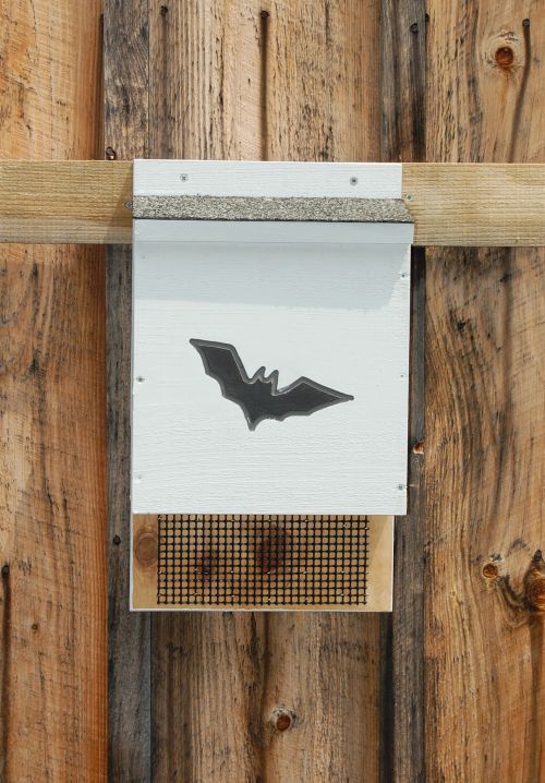 Bat Houses, Bird Houses and More – P&S Country Crafts