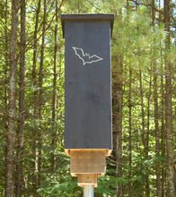 Load image into Gallery viewer, Rocket Bat Box