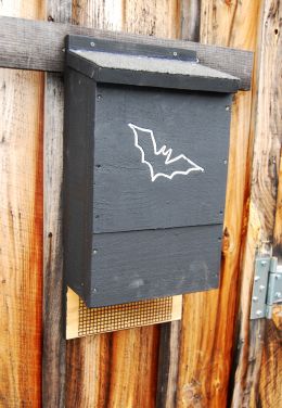Small Bat House