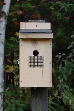 Bluebird House w /mesh landing