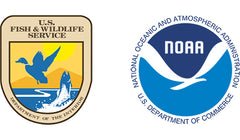 USFWS & NOAA Logos