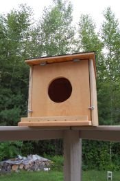 Barn Owl House