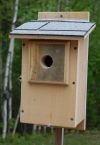 Bluebird House w/Predator Guard