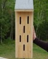 Large Butterfly House
