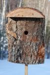 Downy Woodpecker Bird House