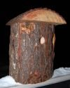 Hairy Woodpecker House